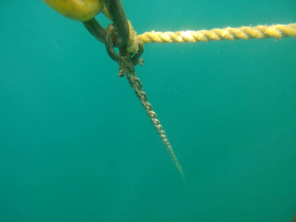 15 фото водных глубин, от которых и собственная ванна кажется глубоким водоворотом
