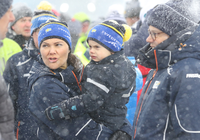 Шведская кронпринцесса Виктория с мужем и детьми попали в снежную бурю Монархи / Новости монархов