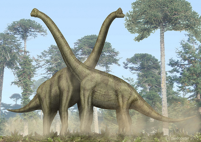 Брахиозавры. (Фото: Peter Montgomery / Flickr.com.) 