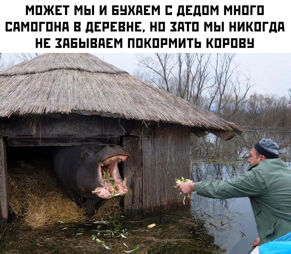 Смешные Деревенские