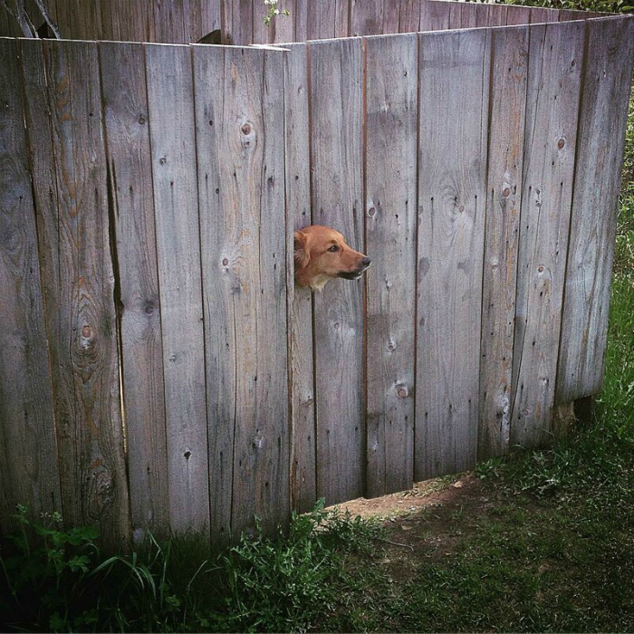 Наши дороги умеют засасывать... И другие забавные примеры застревания в текстурах Наши дороги умеют засасывать... И другие забавные примеры застревания в текстурах Отдых