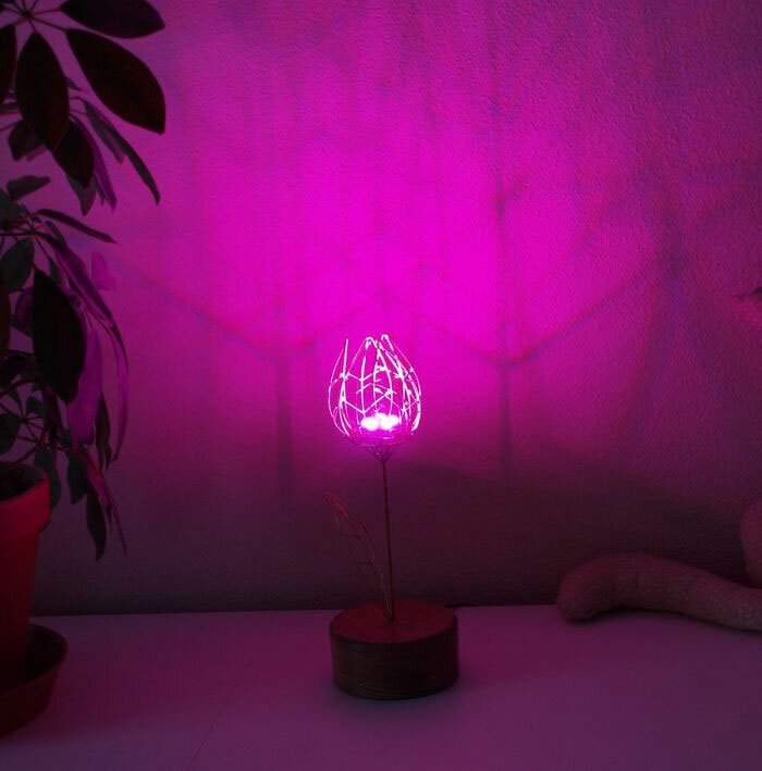 Парень подарил жене механический цветок, который расцветает при касании Парень подарил жене механический цветок, который расцветает при касании мужское хобби