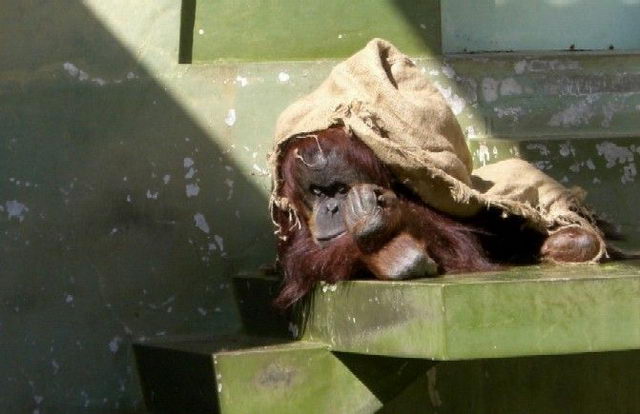 Забавности :) (49 штук)