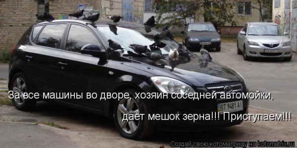 Мысли вслух :)