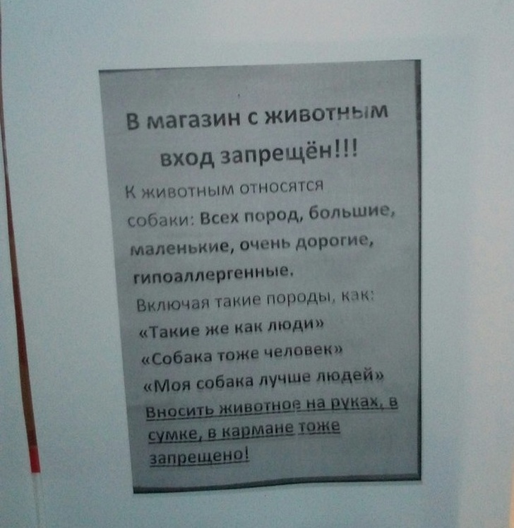 18 смешных объявлений, которые непредсказуемы, как жизнь в России 