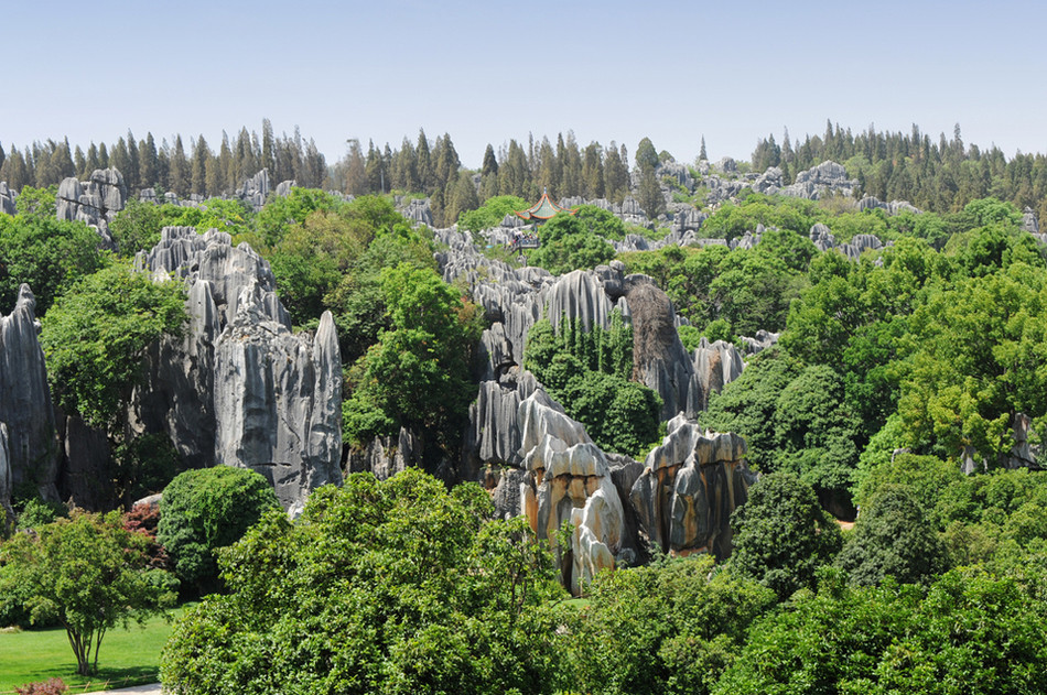 Каменный лес в провинции Юнань, Китай геология, история с географией, красота, скалы