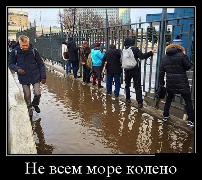  Демотиваторы