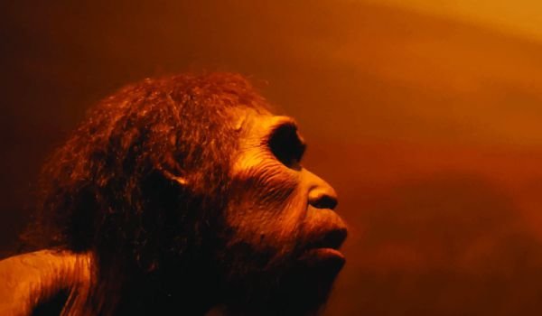 диета до неандертальцев с морепродуктами