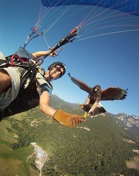 Только позитивные эмоции 