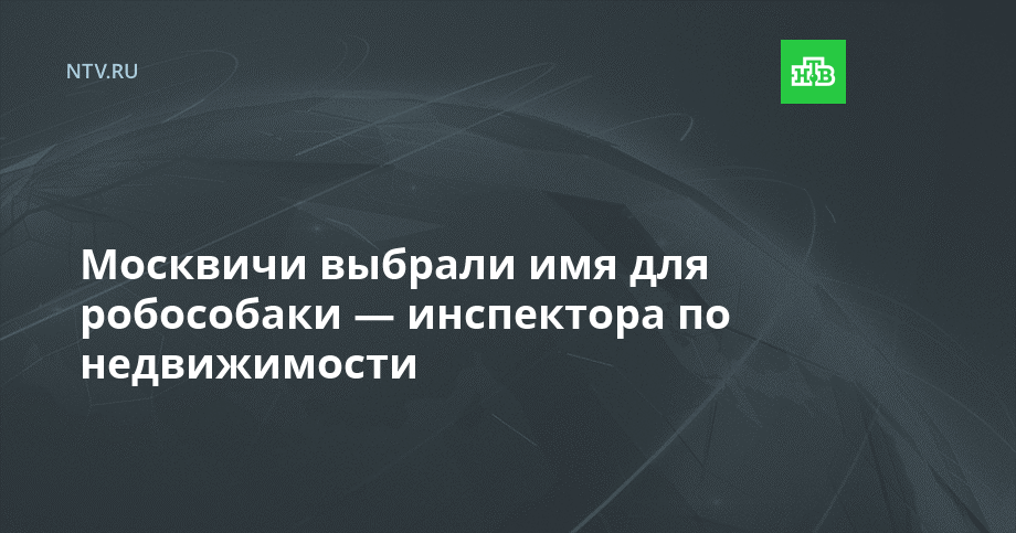 Москвичи выбрали имя для робособаки — инспектора по недвижимости