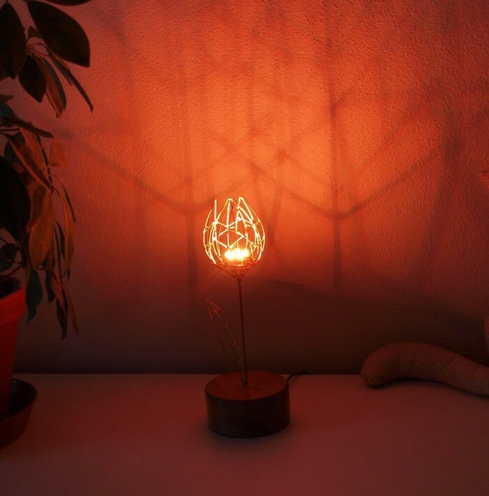 Парень подарил жене механический цветок, который расцветает при касании Парень подарил жене механический цветок, который расцветает при касании мужское хобби