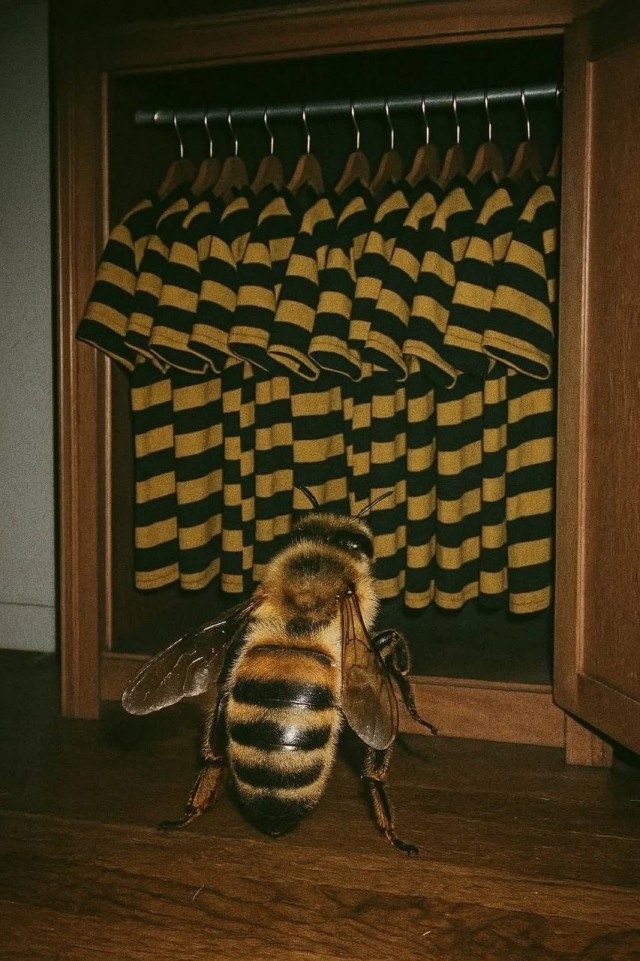 Юмор для тех, кто уже повзрослел и понял, что «праздник» — это когда не звонили с работы 