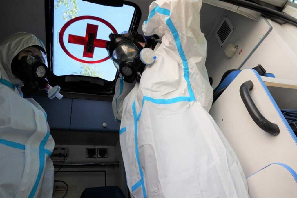 Роспотребнадзор оценил опасность вируса Нипах для России