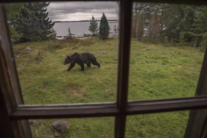 Фотоподборка вторника Фотоподборка вторника