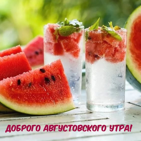 Веселые истории о нас