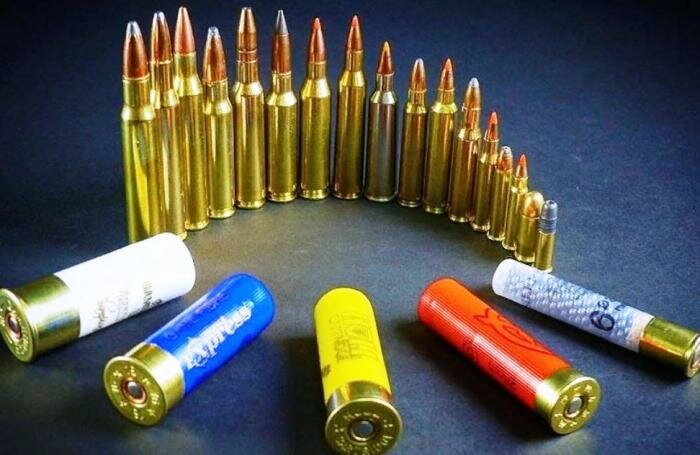 Отличное решение. |Фото: volgahunter.ru.