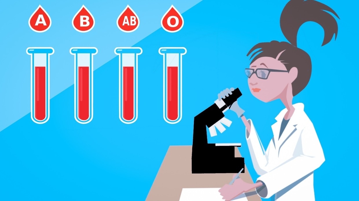 Сортировку продуктов на вредные и полезные по группе крови признали бесполезной