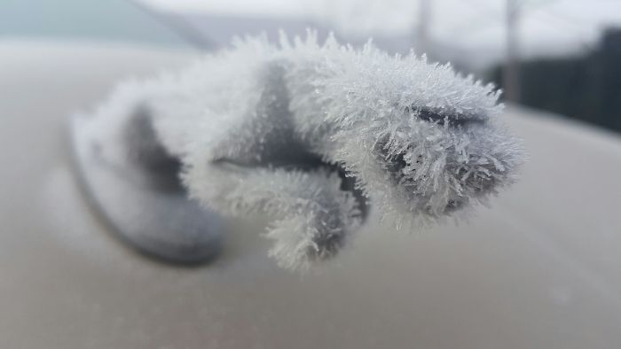 My Jaguar Hood Ornament Has Ice Fur