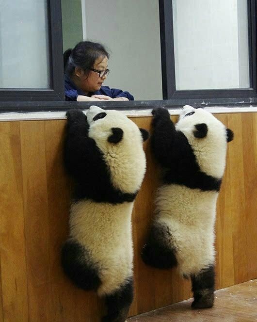 Прикольное фото демотеваторы, приколы, фото