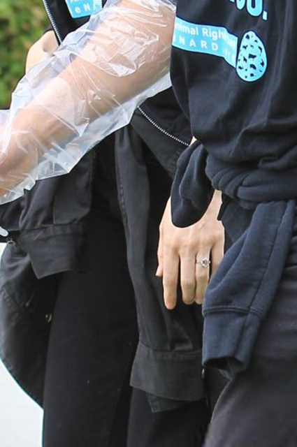 Хоакин Феникс и Руни Мара на митинге в защиту прав животных Звездные пары