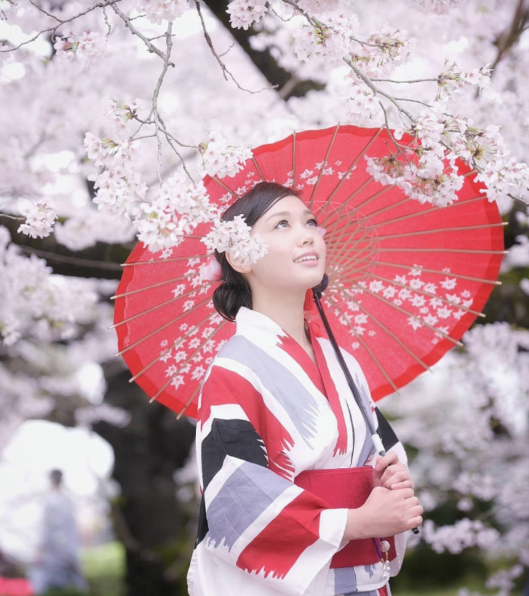 Фотограф запечатлел волшебный сезон цветения вишни в Японии природа