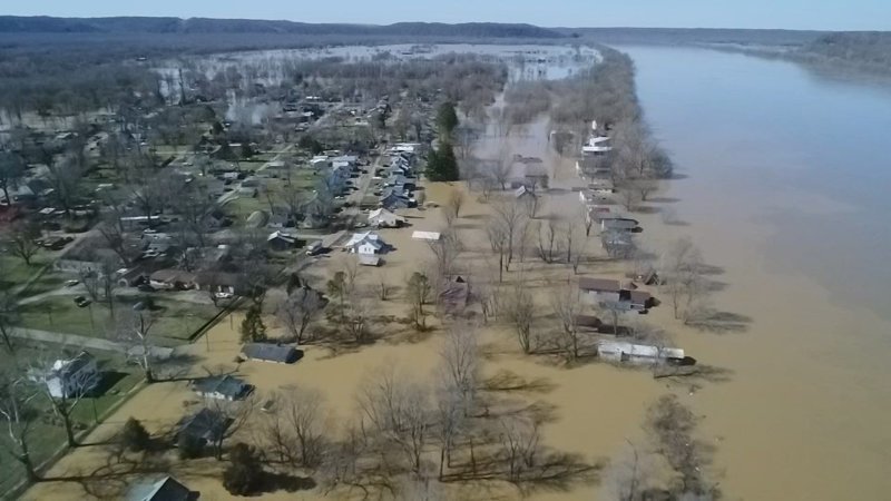 Мужчина поймал здоровенного сома у себя во дворе в мире, люди, наводнение, рыба, сом, улов