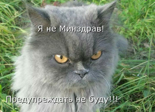 Утро понедельника в животном саду веселые картинки,животные,позитив,Смешные животные