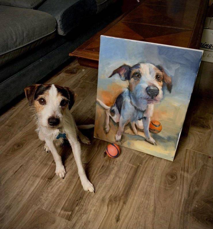 Подборка прикольных картинок  приколы,смешные картинки,юмор