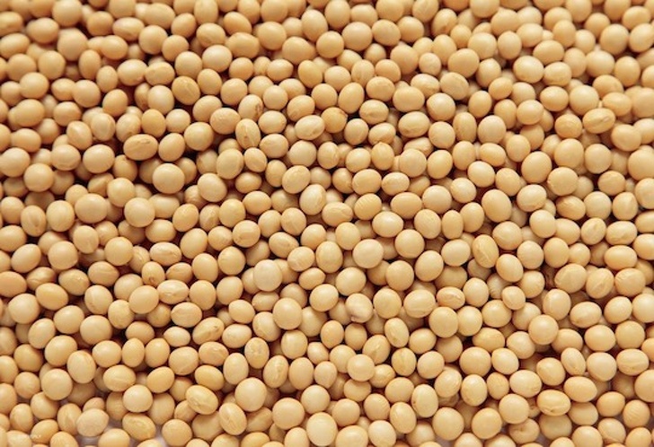 Как выглядят популярные в Японии игрушки Как выглядят популярные в Японии игрушки гаджеты,игрушки