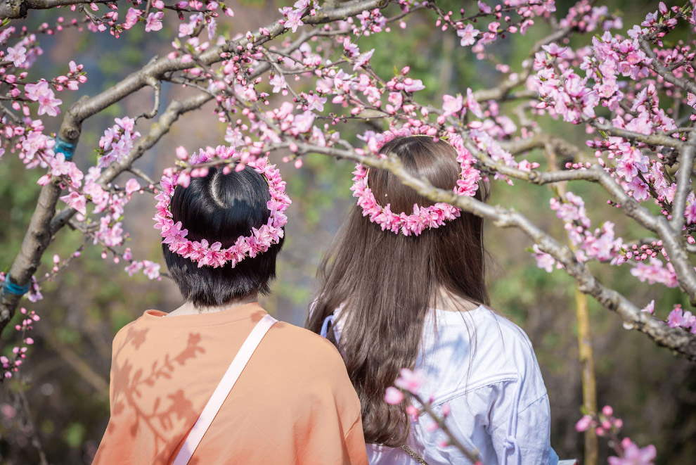 Весна 2019 Весна 2019