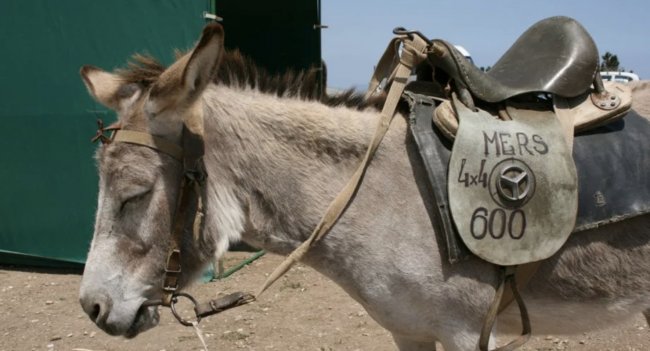 Автомобиль — средство передвижения или предмет, которым можно утереть нос соседу Автомобиль — средство передвижения или предмет, которым можно утереть нос соседу Автомобили