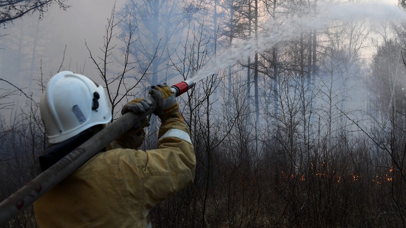 В Подмосковье с начала мая потушили 24 лесных пожара