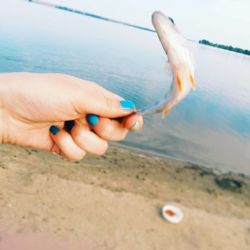 16 удачных кадров, сделанных за мгновение до...