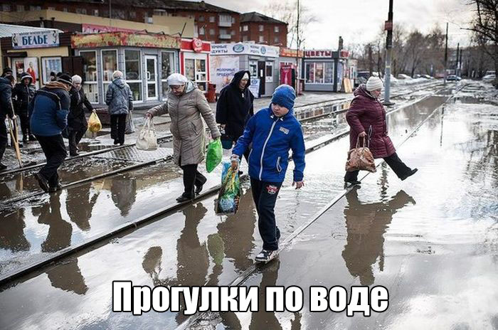 Смешные картинки с надписями для поднятия настроения (11 фото)