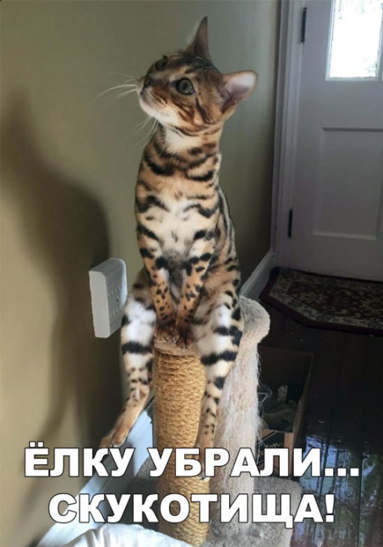 Встречаются два фермера анекдоты