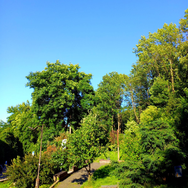 20250723_184129.jpg