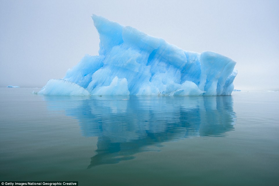 Как выглядят самые древние в мире айсберги интересное,природа