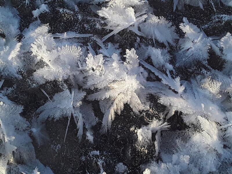До 29 градусов мороза ожидается в Забайкалье 3 ноября