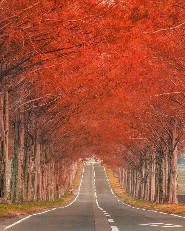 Пейзажи со всего мира, от которых не оторвать глаз Пейзажи со всего мира, от которых не оторвать глаз