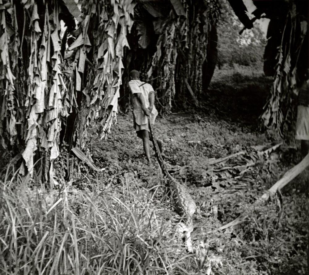 Чем страннее, тем лучше: необычный фотоархив Роба Муриса 1 12