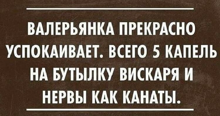 Подборка метких высказываний, которые подарят вам позитивный настрой 