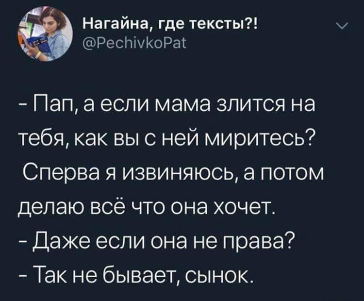 Каждый раз, когда я провожу рукой по коту, моя рука проходит 35 см анекдоты,веселье,приколы,смех,юмор