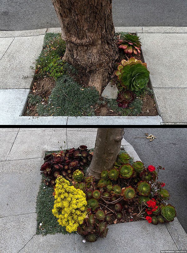 Как американцы проектируют улицы Как американцы проектируют улицы