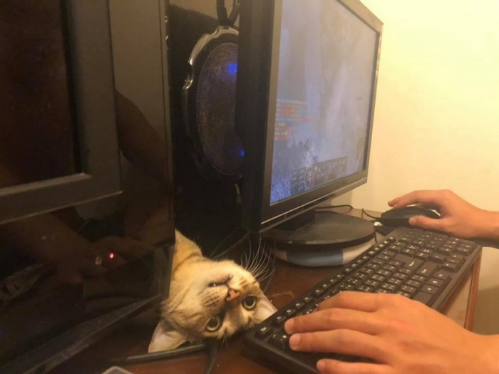 Фотоподборка 