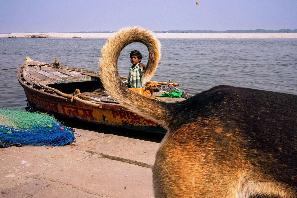 Жемчужины Индии: Дели и Варанаси Моррис, Морриса, streetфотографии, самое, фотограф, Великобритании, различных, удивительные, друга, Индии, своей, свадьбы, всего, познакомился, ждать, обратный, искать, терпению, эффект, идеального