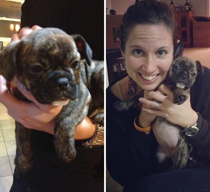Meeting My Frenchie Girl Benny For The First Time