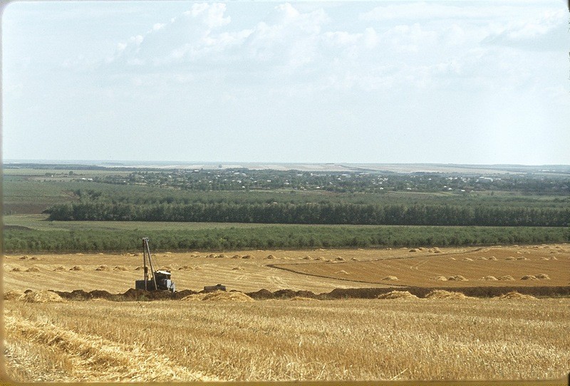 В поле: Кубань, ретро фото, фотографии