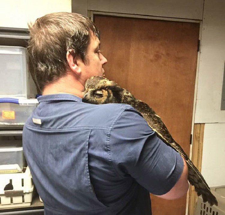 15 историй спасения животных, которые выражают настолько искреннюю благодарность своим спасителям, что даже самое чёрствое сердце растает 15 историй спасения животных, которые выражают настолько искреннюю благодарность своим спасителям, что даже самое чёрствое сердце растает