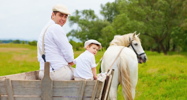 Анекдоты про деревню. Часть 2 анекдоты