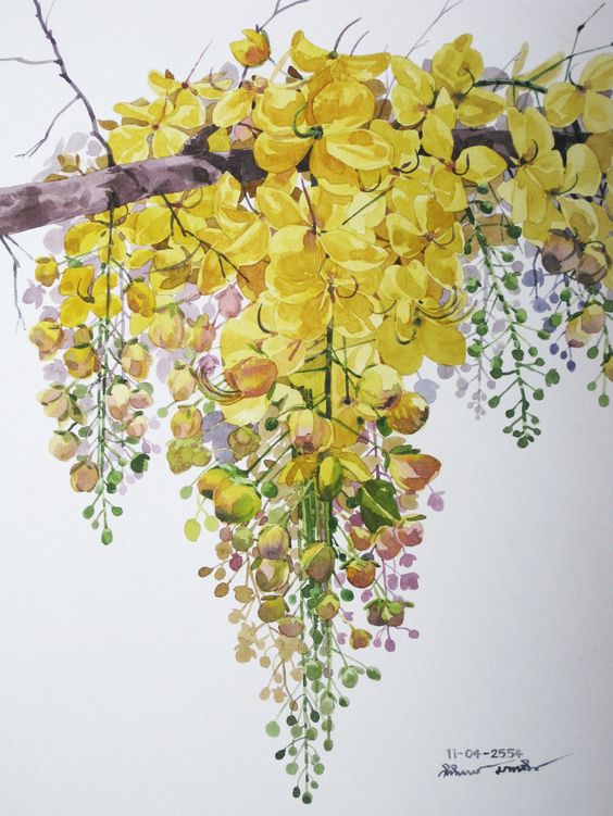 Yellow flowers painting: 